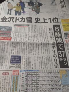 久しぶりの大雪